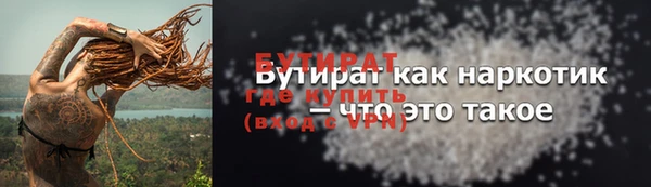 соль ск Дмитриев