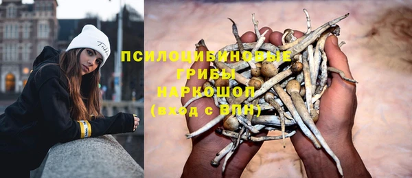 соль ск Дмитриев