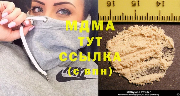 соль ск Дмитриев