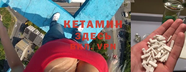 соль ск Дмитриев