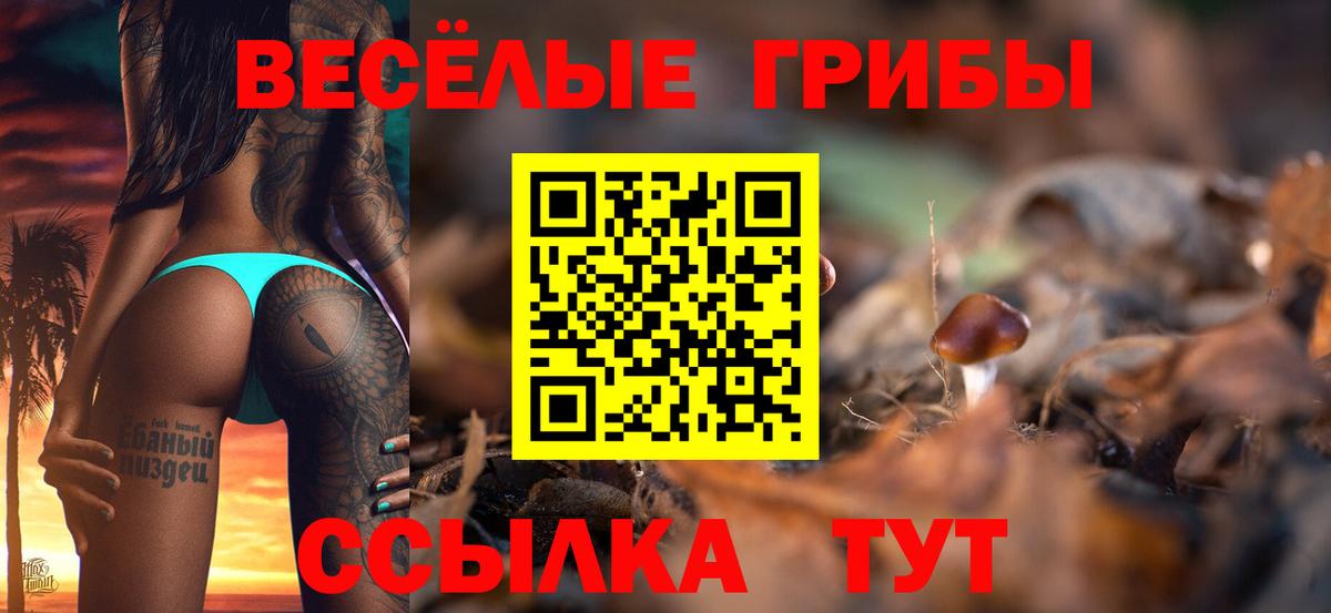 Псилоцибиновые грибы Cubensis  Вход с VPN  Похвистнево 